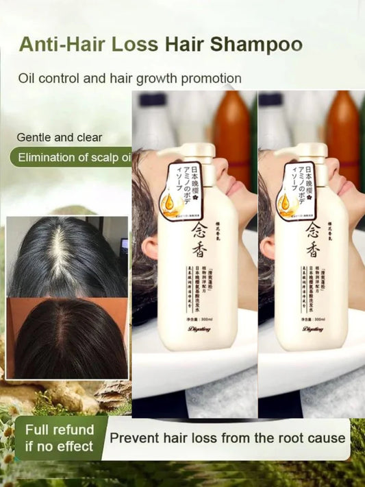 Ginger Plant Extract Anti-Hair Loss Shampoo - Hot Sale🔥