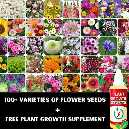 Mix Flower Seeds - Pack of 100 + (FREE Plant Boost Supplement🔥)